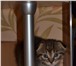 Продаются Шотландские котята по низким ценам! 3507836 Скоттиш фолд короткошерстная фото в Иваново