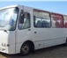 Foto в Авторынок Пригородный автобус Новые автобусы Isuzu-Ataman (прямые поставки) в Нижнем Новгороде 2 370 000