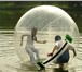 Фотография в Развлечения и досуг Разное Водный шар – последняя новинка для развлечений в Красноярске 15 000