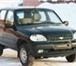Продам небольшой внедорожник Chevrolet Niva 1, 7, машина 2003 года выпуска, проехала около 73000 ки 10742   фото в Кемерово