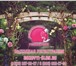 Фото в Развлечения и досуг Организация праздников Свадебное агентство "Розовый слон" с радостью в Солнечногорск 1 000