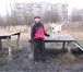 Foto в Домашние животные Услуги для животных &bull;  Консультации , по воспитанию, выращиванию в Ярославле 300
