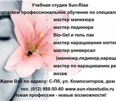 Изображение в Образование Курсы, тренинги, семинары Учебная студия Sun-Rise Мы предлагаем профессиональное в Санкт-Петербурге 100