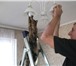 Фотография в Строительство и ремонт Электрика (услуги) Мы выполняем:Замену электропроводки в квартирах, в Оренбурге 250