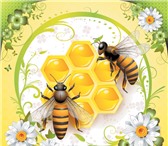 Изображение в Прочее,  разное Разное Продам башкирский мед, свежий, август 2014 в Уфе 1 500