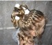 Изображение в Красота и здоровье Салоны красоты если вы хотите, чтобы ваши волосы выглядели в Таганроге 0