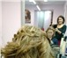 Фото в Красота и здоровье Салоны красоты Доверьте уход за волосами Вашему личному в Москве 1 000