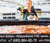 Фото в Хобби и увлечения Рыбалка Купить оборудование УЗВ для осетра в России в Москве 1 590 000
