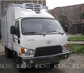 Изображение в Авторынок Транспорт, грузоперевозки Груза перевозки на Hyundai HD 78 рефрижератор в Екатеринбурге 500
