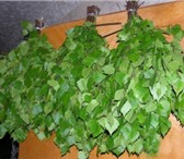Foto в Прочее,  разное Разное Продаю березовые веники(хорошие)по низкой в Омске 30
