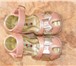 Foto в Для детей Разное Продаются сандали "Бамбино" 19 размер,  для в Оренбурге 400