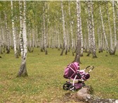 Foto в Для детей Детские коляски Продам коляску трансформер бордово-розового в Челябинске 3 500