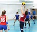 Изображение в Спорт Спортивные школы и секции Ведется набор в школу волейбола Rusvolley в Тамбове 0