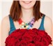 Фотография в Прочее,  разное Разное Магазин цветов и подарков «Амели» предлагает в Москве 200