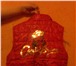 Фотография в Для детей Детская одежда Продам жилетку на девочку 4-5 лет,красного в Нижнем Новгороде 2 000