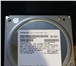 Изображение в Компьютеры Комплектующие Продаю жесткий диск в отличном состояниеОбьем в Твери 4 500