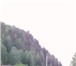 Изображение в Недвижимость Земельные участки Продам участок 7соток, под застройку,  Манский в Красноярске 400 000