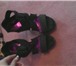 Foto в Одежда и обувь Женская обувь летние босоношки в Великом Новгороде 1 000