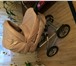 Фотография в Для детей Детские коляски Коляска-люлька — детская коляска для новорожденного в Воткинске 4 000
