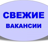 Фотография в Работа Работа на дому Крупной международной компании требуется в Москве 59 000