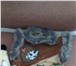 Изображение в Для детей Детская одежда Для мальчика. "Ежик" шапка в виде ежика, в Тюмени 800