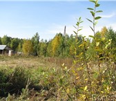 Foto в Недвижимость Земельные участки Продам земельный участок в п. Шабровский, в Екатеринбурге 500 000