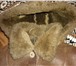 Изображение в Одежда и обувь Женская одежда Дубленка коричневая Р-Р 52-54 в Архангельске 1 000