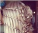 Фото в Красота и здоровье Салоны красоты Плетение кос любой сложности, На праздники, в Тольятти 300