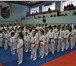 Фото в Спорт Спортивные клубы, федерации Федерация каратэ киокусинкай проводит набор в Сыктывкаре 0