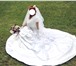 Foto в Одежда и обувь Свадебные платья Продам свадебное платье 42-46 размер с шлейфом, в Смоленске 30 000