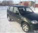 Нива шевроле 1788049 Chevrolet Niva фото в Саратове