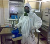 Изображение в Прочее,  разное Разное Чтобы вывести тараканов полностью и наверняка, в Волгограде 1 500