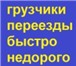 Фото в Авторынок Транспорт, грузоперевозки Выполним квартирный, офисный, дачный переезд.Перевозка в Белгороде 0