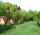 Продам дачу п.Дружелюбный, с/т «Заводско