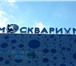 Фотография в Прочее,  разное Разное Производственная компания «Мос Вывески» оказывает в Москве 50