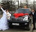 Изображение в Развлечения и досуг Организация праздников Предлагаю в аренду украшение на свадебное в Москве 3 000