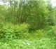 Продается участок в Гатчинском районе Но