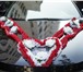 Фото в Развлечения и досуг Организация праздников Красивые свадебные украшения на авто, весь в Перми 2 000