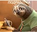Фото в Работа Разное Обязанности: работа в соц.сетях, помощь при в Барнауле 20 000