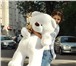 Фото в Для детей Детские игрушки Большой плюшевый мишка станет самым желанным в Санкт-Петербурге 3 190