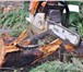 Фотография в Строительство и ремонт Разное Производим вырубку аварийных деревьев любой в Москве 0