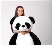 Foto в Для детей Детские игрушки Большая плюшевая панда прекрасный подарок в Санкт-Петербурге 4 390