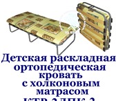 Изображение в Для детей Детская мебель Раскладушки и раскладные кровати Торгового в Ярославле 1 440
