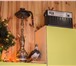 Foto в Отдых и путешествия Дома отдыха Преимущества усадьбы: небольшой дом, рассчитанный в Москве 4 200