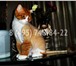 Изображение в Домашние животные Услуги для животных * Стрижка котов и кошек всех пород, видов в Москве 1 200