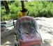 Фотография в Для детей Детские коляски Продам детскую коляску трансформер Adamex в Тамбове 5 000