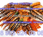 Фотография в Работа Вакансии Приглашаем на работу активных, ответственных в Старом Осколе 60 000