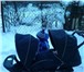 Изображение в Для детей Детские коляски Продам Детскую коляску для двойни или погодок в Калининграде 7 000