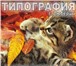 Фотография в Прочее,  разное Разное Типография онлайн с доставкой, цифровая печать, в Москве 100