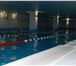 Фотография в Спорт Спортивные школы и секции Дорогие друзья, идет набор в школу плавания в Зеленоград 650